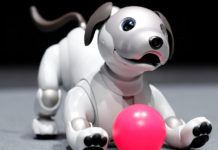Sony : Aibo revient aux Etats-Unis