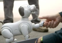 Choco Edition : la nouvelle variante de couleur de l’Aibo de Sony