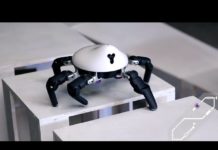 Hexa : le petit robot de Vincross Inc. capable d’apprendre par lui-même