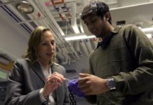 Des tissus humains régénérés via des plateformes imprimées en 3D