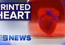 Des chercheurs israéliens ont pu créer le premier cœur imprimé en 3D