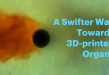 SWIFT : la nouvelle technique d’impression 3D d’organes humains