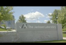 Une IA capable d’accélérer les recherches sur les traitements génomiques du cancer