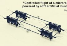 Un robot-abeille capable de se cogner contre les murs… sans se casser