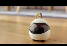 Ebo, le robot qui surveille et amuse votre chat à distance