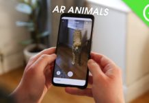 Des animaux en réalité augmenté dans votre salon grâce à Google 3D Animals
