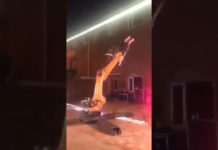 La robotique peut aussi être fun… ou pas !