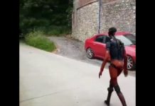 The last Boston Dynamics Humanoid Robot Walks The Streets