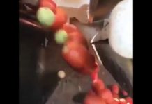 Automatic sorting of tomatoes by Computer Vision