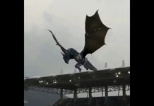 Quand l’équipe Coréenne de Baseball des SK Wyverns fait le show en Réalité Augmentée avec SK Telecom