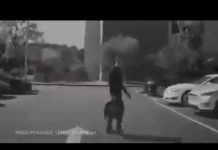 🚗 Imaginez descendre de voiture arrivé au parking, et laisser votre voiture se garer toute seule !