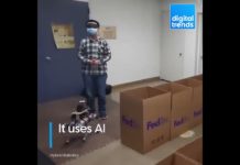 Un chien-guide robotique pour aider les malvoyants à se déplacer