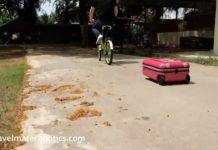 Would you buy this autonomous robot suitcase?