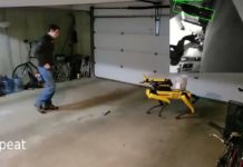 Who wants to play ball with Spot?