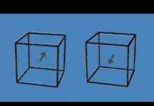 These cubes are not moving 😳