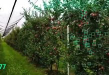 Agriculture evolves with technology 🚜