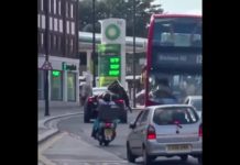 D’oh! Never forget to close your Tesla door