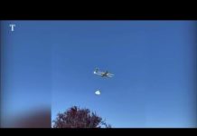 🦅 Birds: 1 – 🤖 Bots: 0