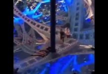 This immersive digital art experience looks like Avatar movie