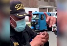 🐦 Pigeon stuck on high voltage cable rescued with drone