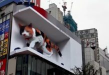 ▶️ A giant 3D cat on the roof of Shinjuku Station in Tokyo 🇯🇵