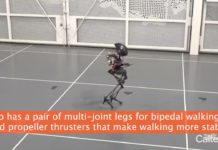 Meet LEONARDO, a bipedal walking robot that can fly built at Caltech