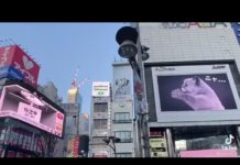 Well done! The cat can’t resist the ad next door… and the magic happens