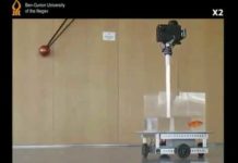 🤔 Scientists Trained Goldfish to Drive a Little Car