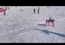 This six-legged skiing robot developed by Chinese researchers