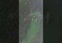 Awesome drone footage