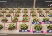 Urban indoor automated vertical farming using data driven software and drones