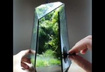 Hand made neat indoor terrarium with a geometrical design