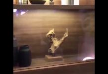 Really cool transparent Oled TV