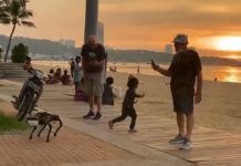 Why do we feel threatened by robots, and children marvel at their potential?