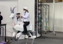 This is what 𝗦𝗮𝗻𝘁𝗮’𝘀 𝗿𝗲𝗶𝗻𝗱𝗲𝗲𝗿 will look like in 𝟮𝟬𝟱𝟬 🦄