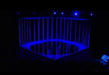 Mercedes fait le show en réalité mixte !