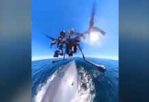 Utiliser les drones pour tagger les baleines et capter des données pour la survie de leur espèce 🐳