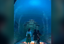 Le 3D Time Tunnel du lac Qiandao en Chine 🇨🇳
