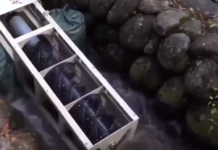 Sensibiliser les jeunes à l’importance des énergies renouvelables grâce au PicoPica 10 🇯🇵