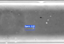 W✪W ! L’IA permet de créer la vie