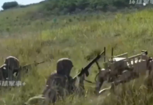 🇨🇳 La Chine teste ses robot wolves en manœuvres militaires