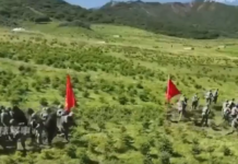 🇨🇳 La Chine teste ses robot wolves en manœuvres militaires