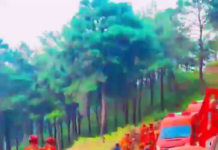 🇨🇳 En Chine, les pompiers testent des robots chien. Demain, tous les métiers vont se robotiser ! 👇