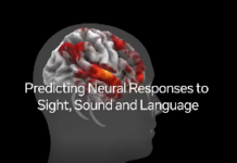 Meta vient de publier un modèle IA capable de prédire l’activité de votre cerveau. 70 fois plus précis que tout ce qui existait avant 👇