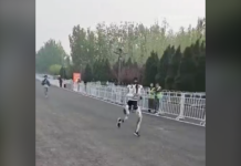 Un jour, ce sera l’inverse ;) !